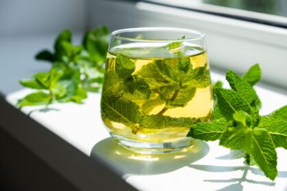 Ice,Tea,With,Mint,In,Glass,With,Fresh,Mint,Leaves