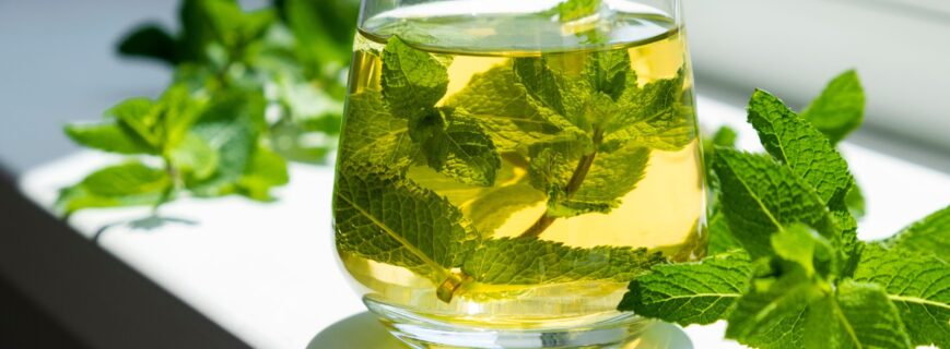 Ice,Tea,With,Mint,In,Glass,With,Fresh,Mint,Leaves