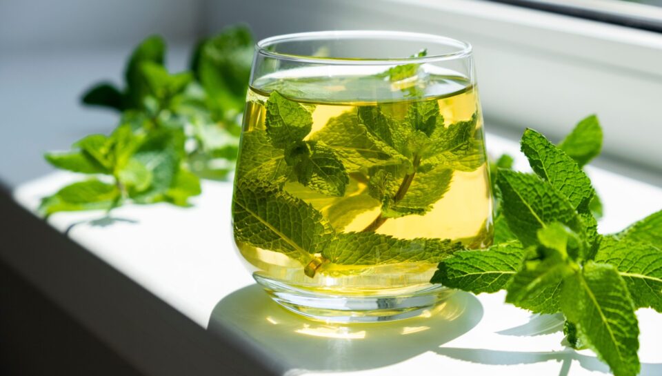 Ice,Tea,With,Mint,In,Glass,With,Fresh,Mint,Leaves